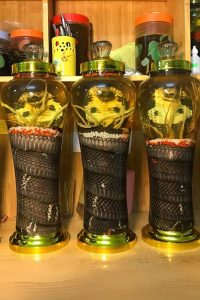 Rượu rắn ngâm với sâm có được không?