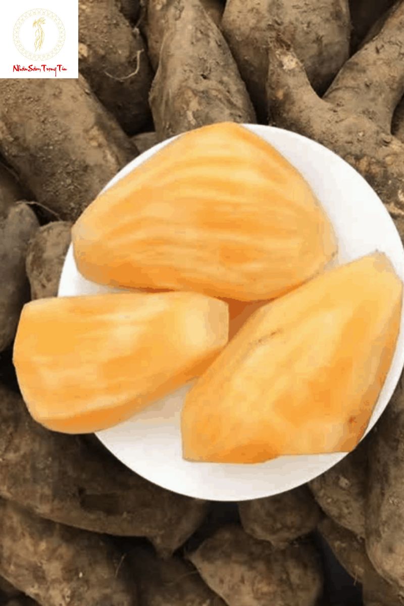 Mua sâm đất chất lượng 