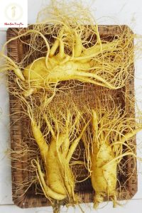 Sâm 3 củ 1kg