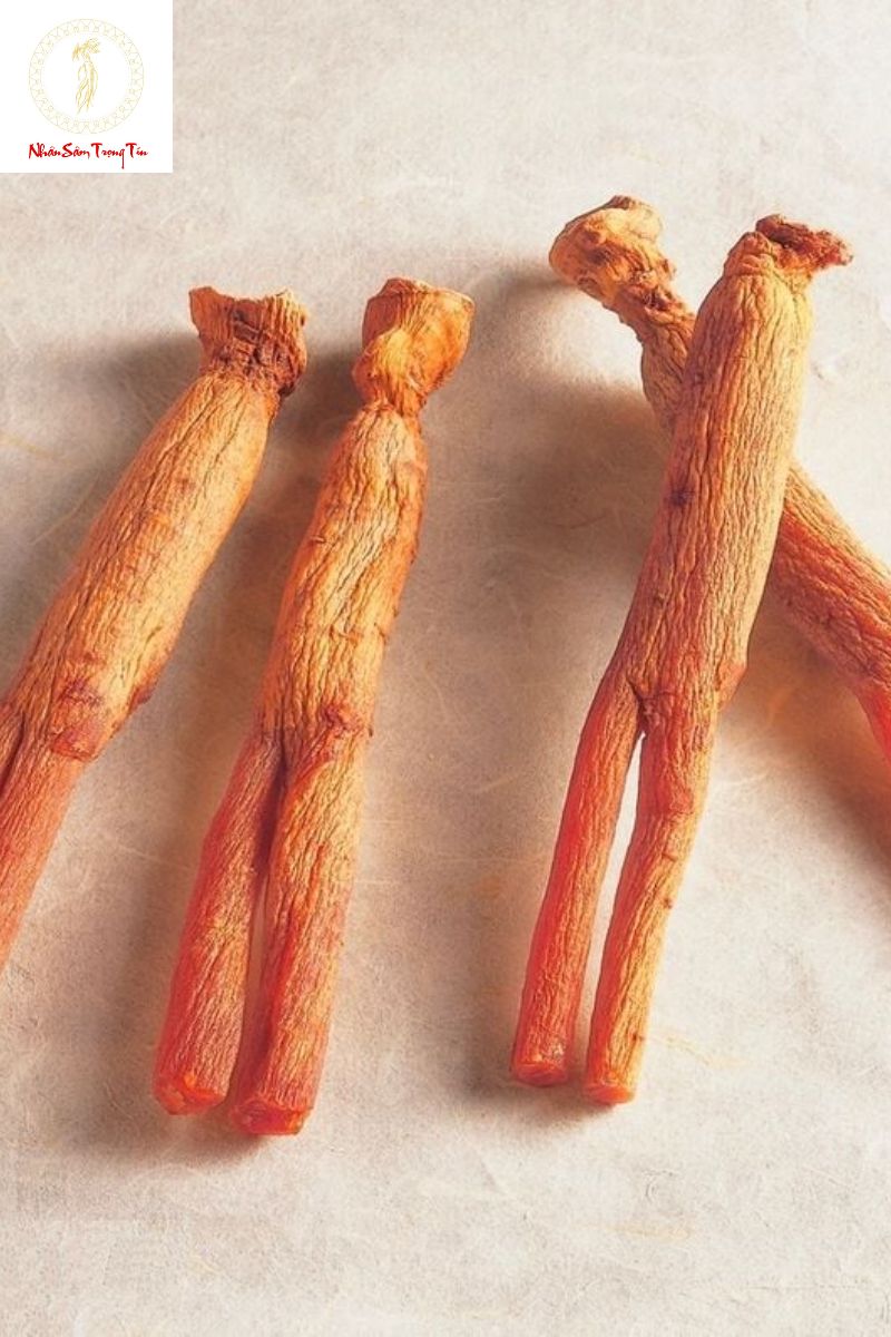 Tác dụng của thiêm sâm