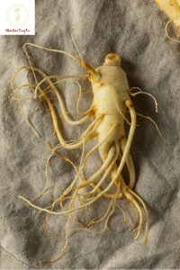 Trọng Tín - Địa chỉ bán nhân sâm quận 5 uy tín