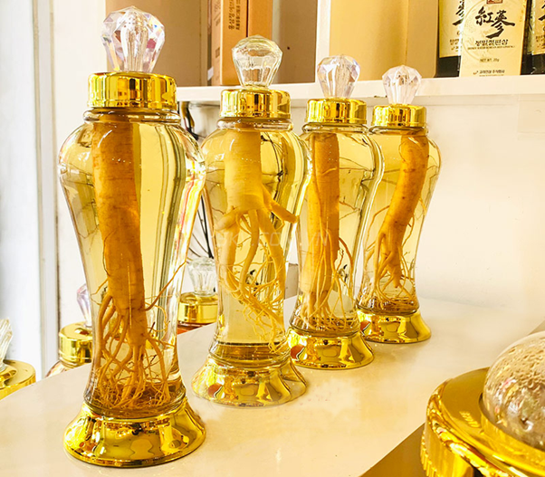 cách ngâm rượu sâm